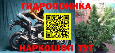эйфоретик Будённовск