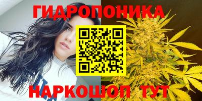 эйфоретик Будённовск