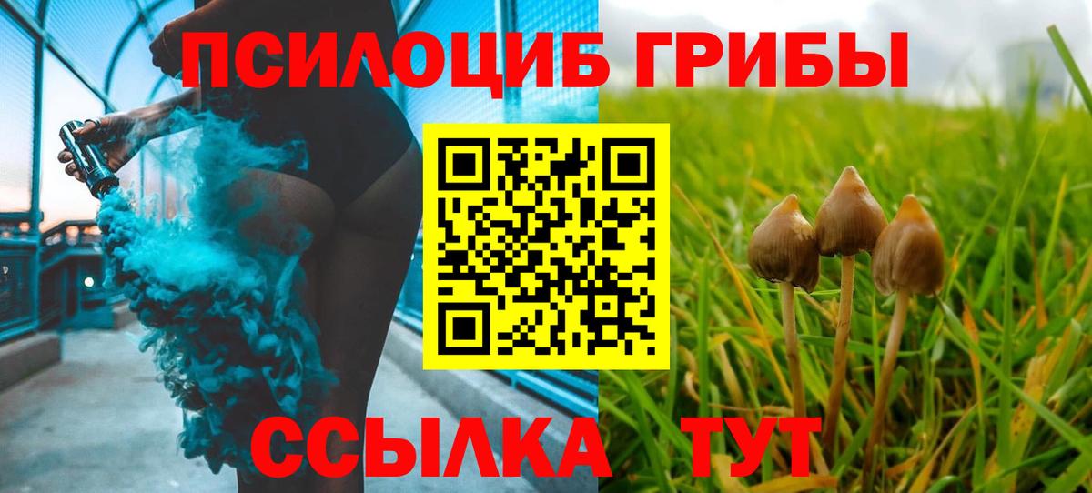 Котовск  Псилоцибиновые грибы Psilocybine cubensis  Вход с VPN 