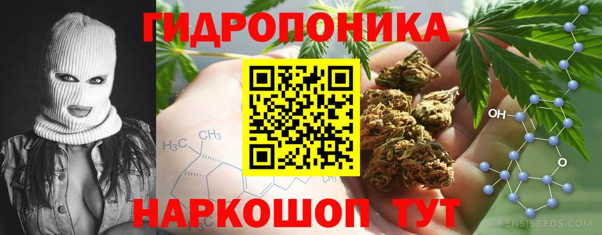 МАРИХУАНА сатива Котовск